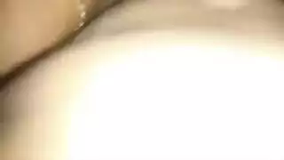 حليب زب حصان بطيز حيوانات