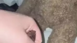 إباحية نزوة الطعام: حوريات هواة عربيات يُقذفن عليهن ويئنّ