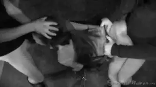 اسود عنيف جداا