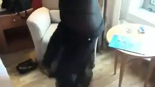 هز طيز محجبات