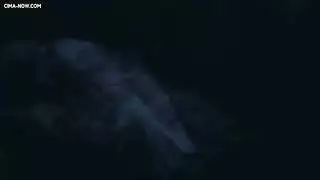 شريط جنسي مصري سري – مشاهد إباحية كاملة